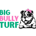 Big Bully Turf Profile Picture